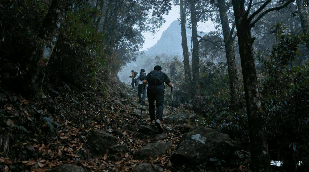 解决坚果网络加速器ISO常见问题的方法总结